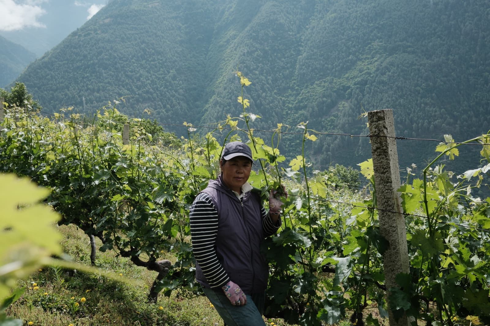 Sky-High Ambitions, Grounded Roots: XiaoLing 霄岭