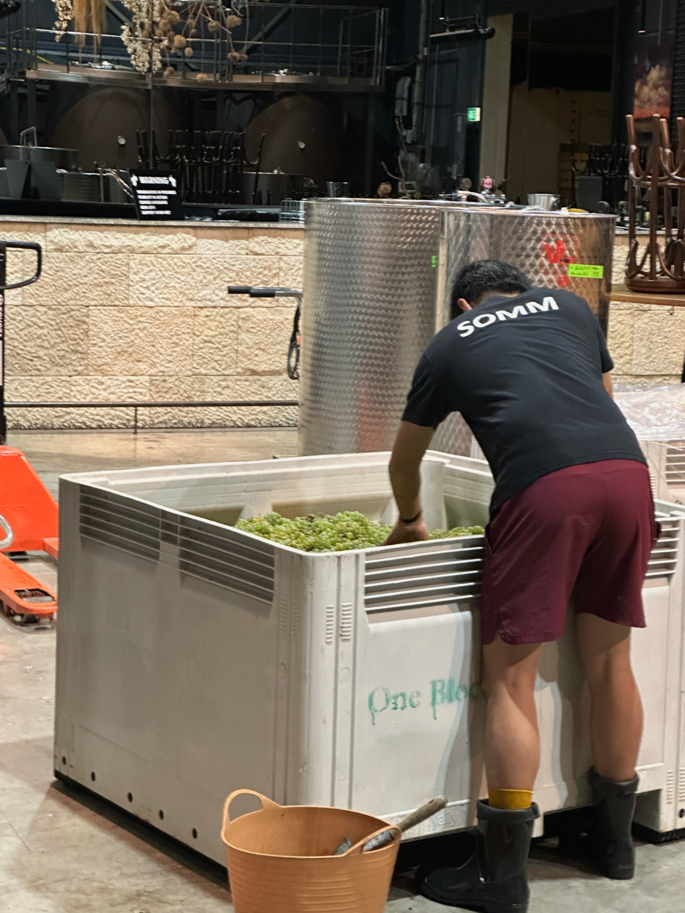 The New Wave of the Yarra Valley